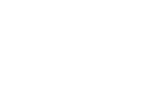 Logo client Namfi