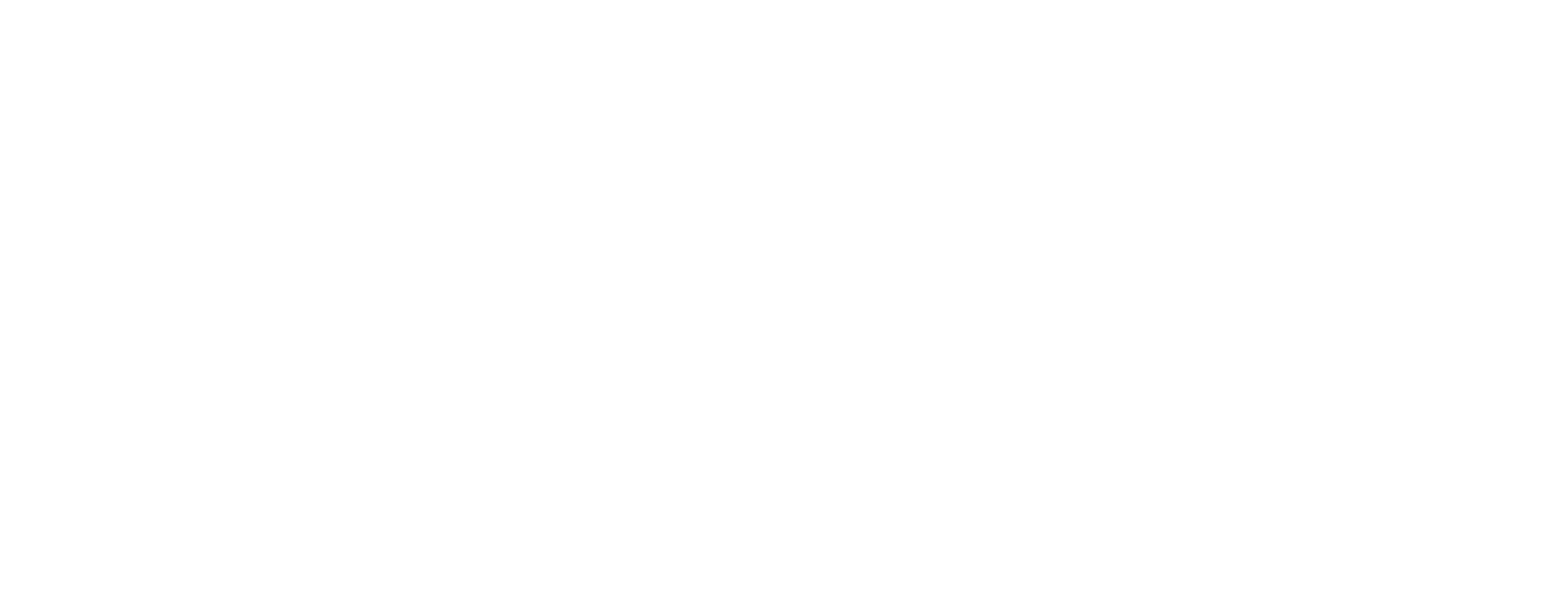 Logo client Namfi